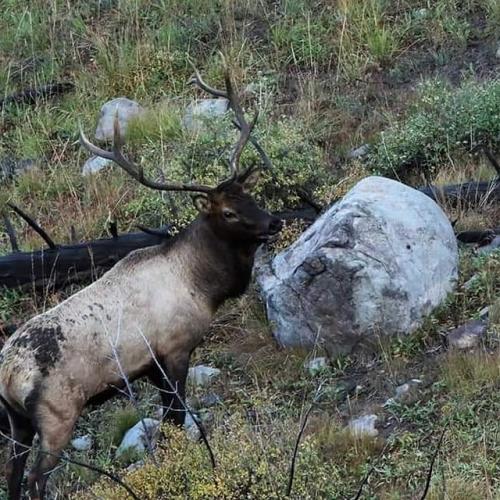 IMG_20190924_155147_630