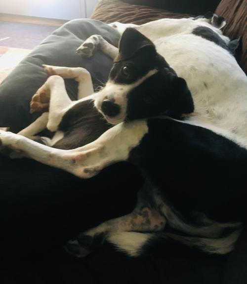 804B3BD1-6910-4F9C-A997-01CAAD0E20AC