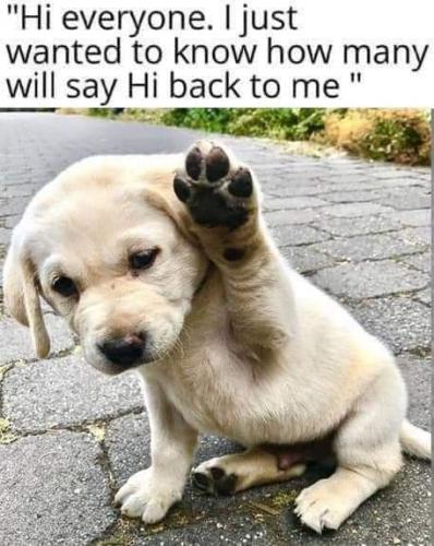 FB_IMG_1601056411748