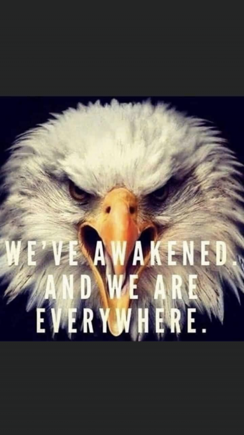 DB8189EB-72E1-4CC4-8492-4A293E761E76