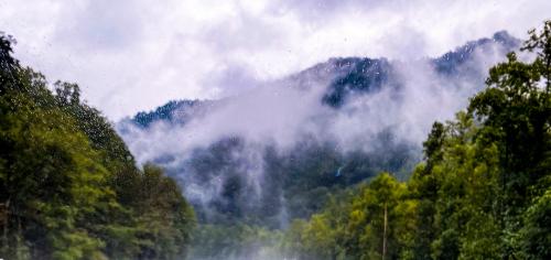 109A6713-4F12-4247-817F-604980B4A41E