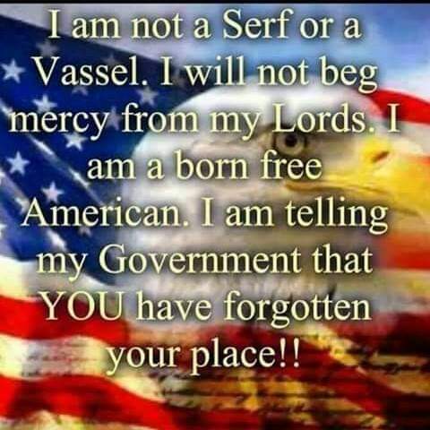 FB_IMG_1599649956600