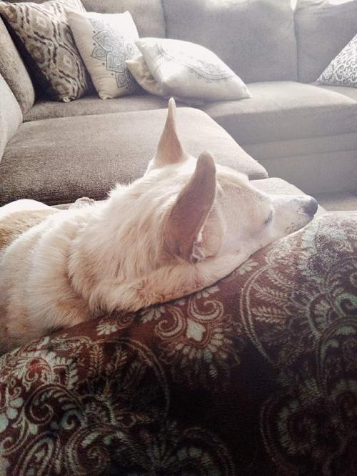 FB_IMG_1597765120522