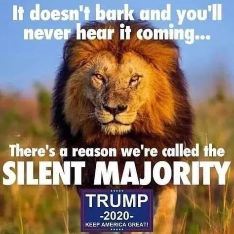 FB_IMG_1599430395755