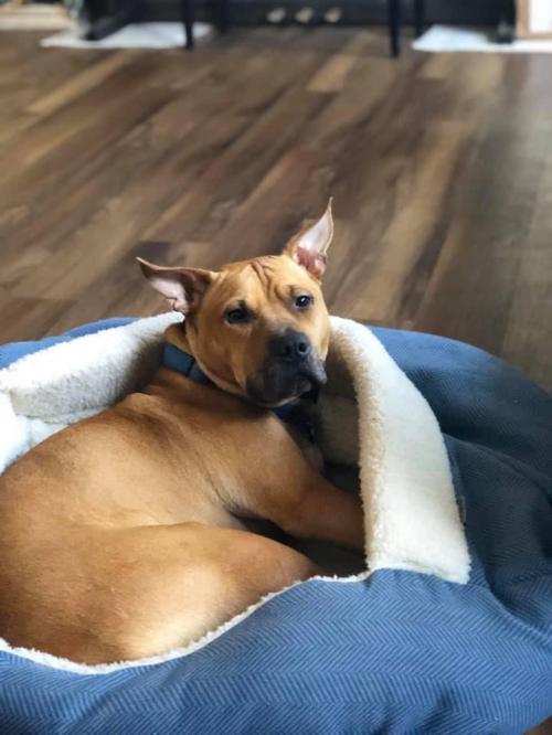 81379890_10219219431689683_2194211998827282432_n