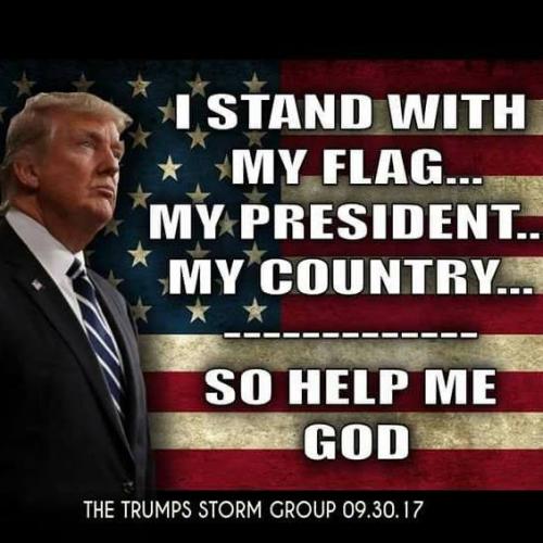 49696702_10213731041851729_932141596973989888_n