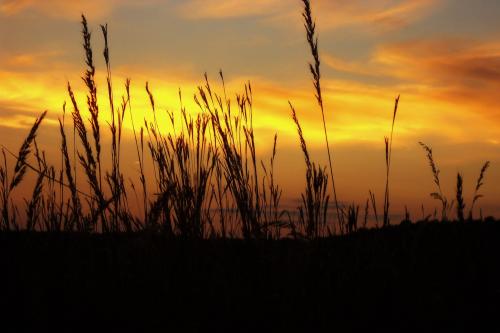 414673_4358585677603_552142993_o