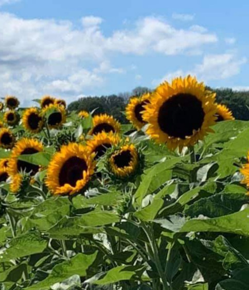 inbound2875210130127825311