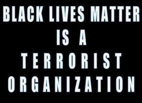 FB_IMG_1599486869990