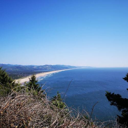 IMG_20190724_191804_542