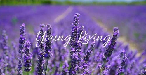 A10559D4-27D5-465E-A3D8-A646EA9344F8