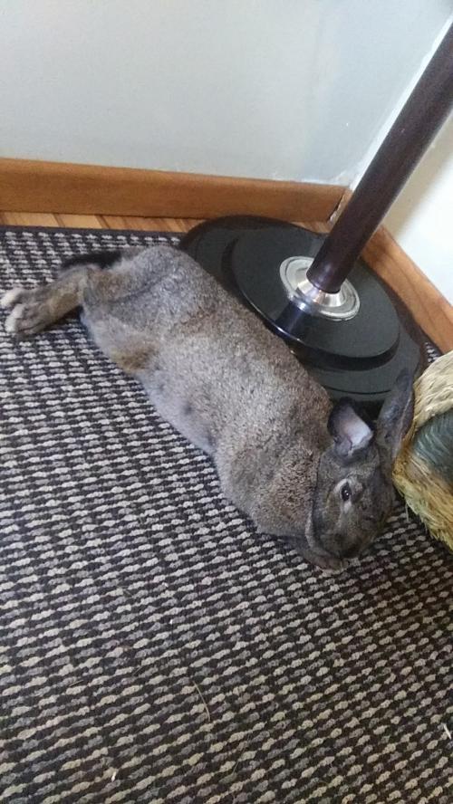 inbound1998931923515148770