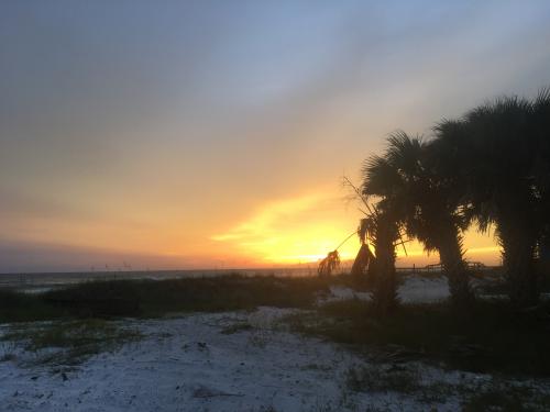 3C54F7EE-30DD-472E-A3CA-A7D84F93F7F7