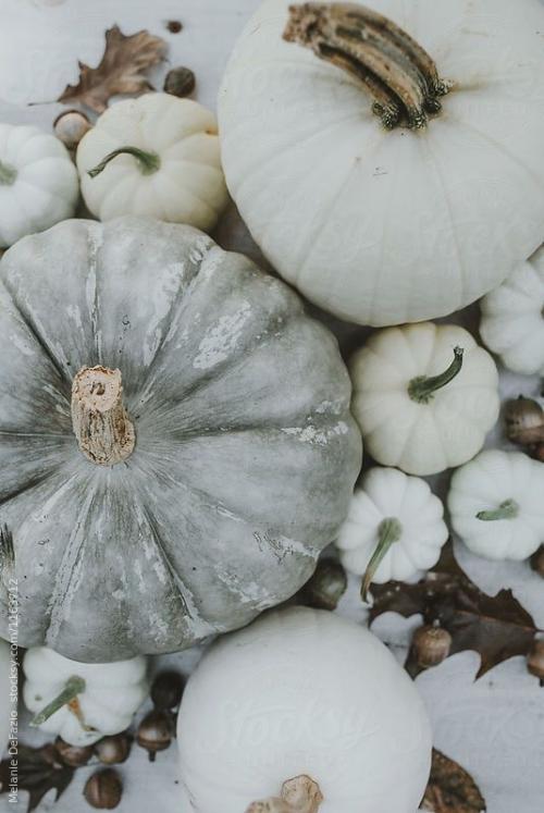 19C943FA-737B-48A9-903B-B3C4598ED8B1