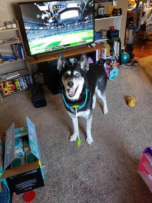 FB_IMG_1595838618526