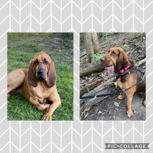 EE91E9AC-F23B-40EF-AFB9-68B58BA90689