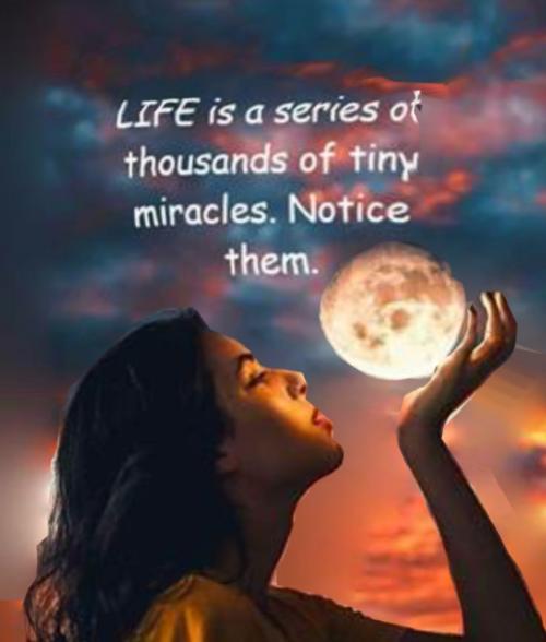 Screenshot_20200921-132927_Facebook