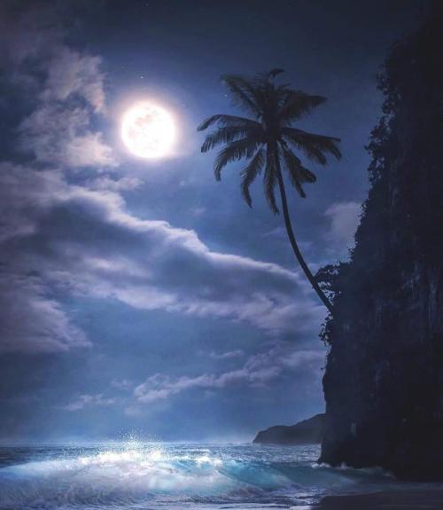 FB_IMG_1562035405492~2