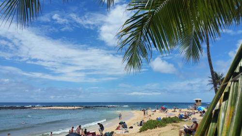 35401094_10156511082378307_4674117864905506816_o