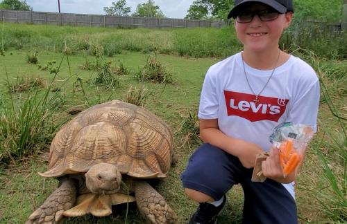 tempFileForShare_20200628-184708