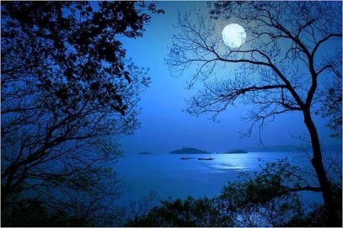 161e0050aca465ac015b3169c44ff808