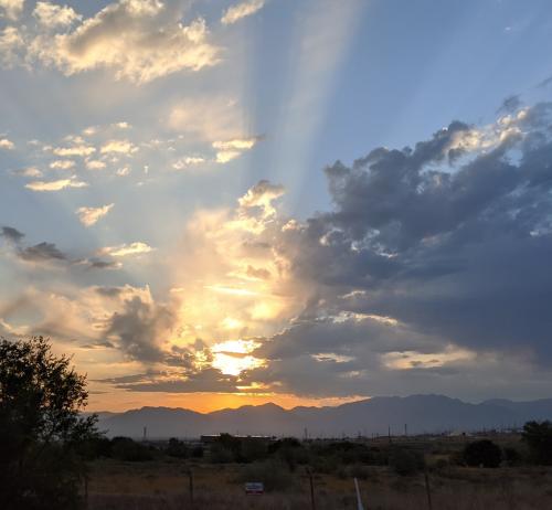 MVIMG_20200829_071551