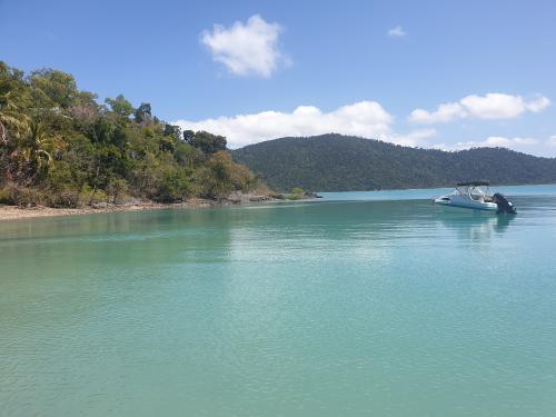 inbound7336380144505938954