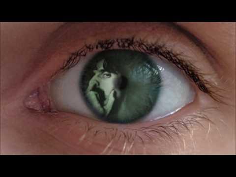 554317_487533774621124_1086468239_n