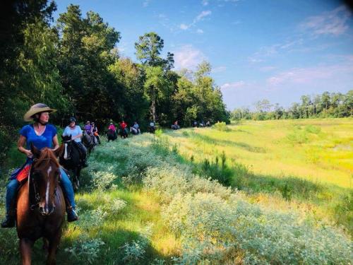 _storage_emulated_0_DCIM_Facebook_FB_IMG_1537319124894