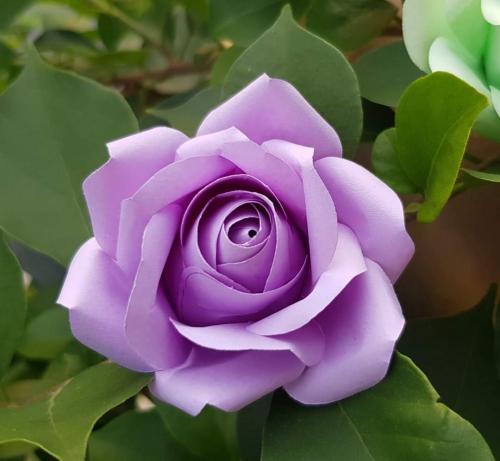 FB_IMG_1598784817924