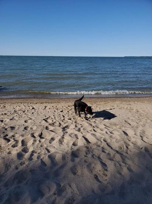 FB_IMG_1599647623790