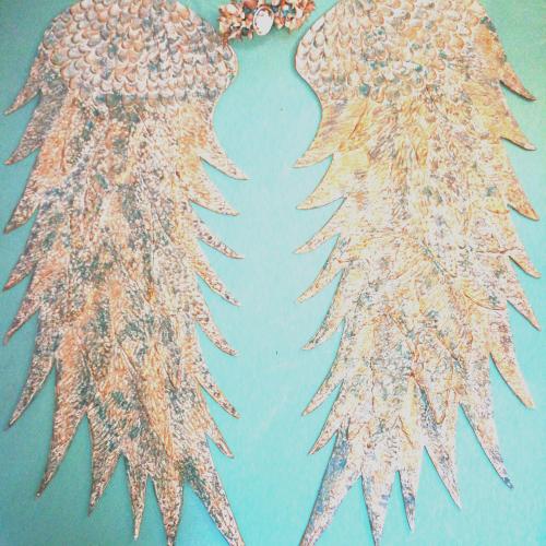 IMG_20200825_120836_829