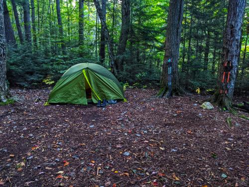 inbound477309815108616840