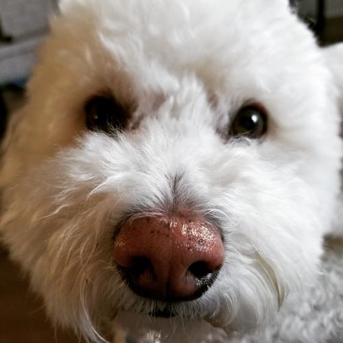 IMG_20200826_223046_861