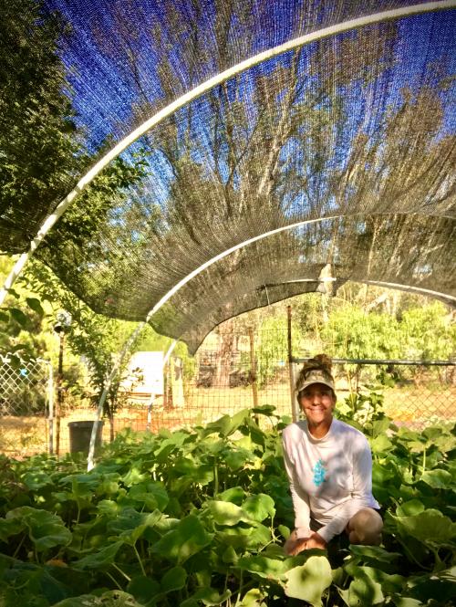 2200AFA1-69C3-4F2C-A393-9656436E6DF0