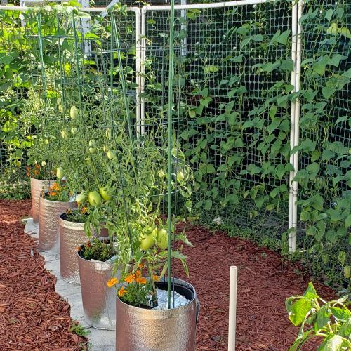 IMG_20200421_172037_319