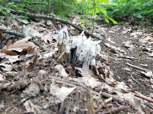 ProShot_20200723_125355