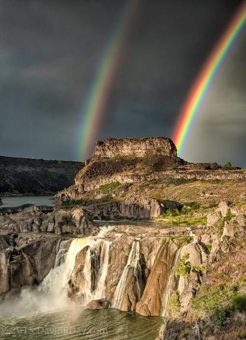 FB_IMG_1600451563860