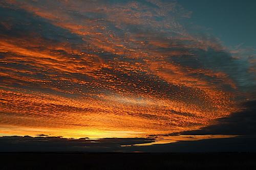 95771146_3763557723714172_3788543982686961664_o