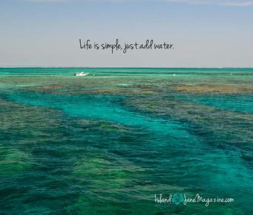 FB_IMG_1597505945418