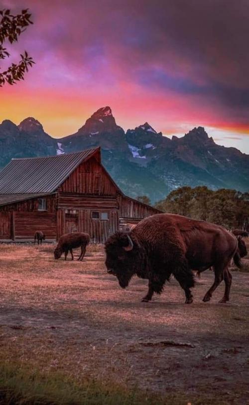 FB_IMG_1599921428517