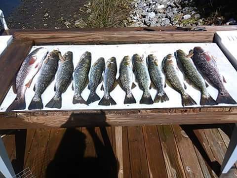 FB_IMG_1599209044044