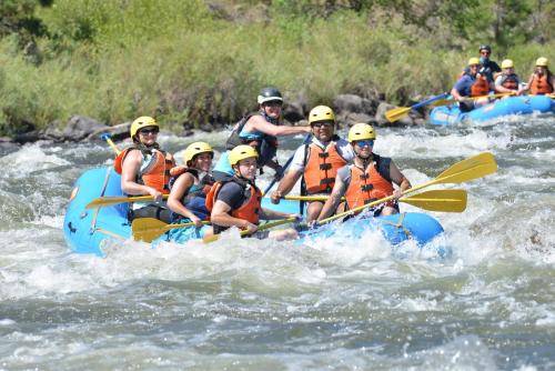 COVER_IMAGE8427617079746298622