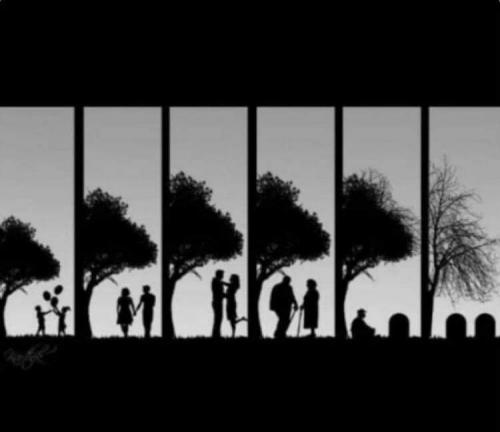 FB_IMG_1600187607871