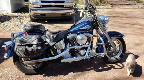 Screenshot_20200927-225948_Gallery