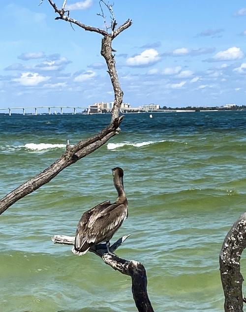 82064EDF-1202-44CA-9361-D8D6E2DA2D8C