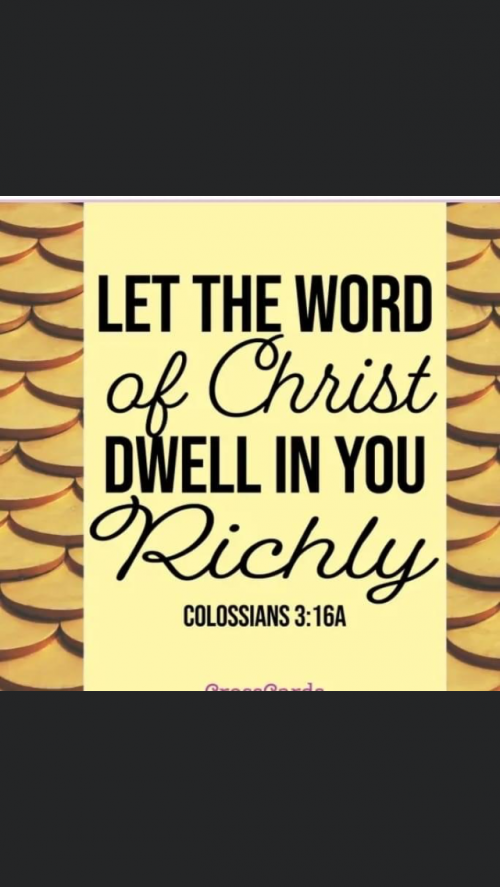 CC7F4431-D51F-4A3B-A49E-F59450B24B09