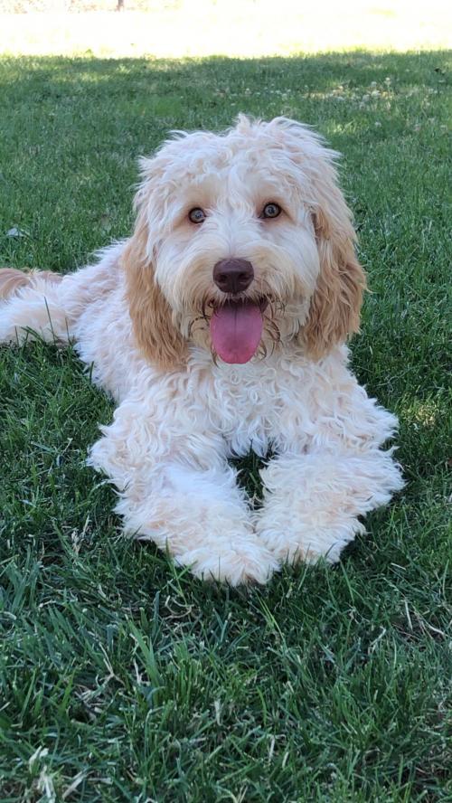 806EA849-BAEC-40FE-B7DD-E8B17FD9D193