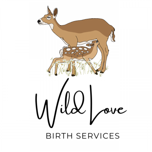 Untitled213_20200707190421