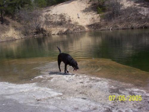 285C09C9-2927-44C8-AC25-914CE5414D73